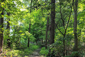 Smith's Island Nature Trail