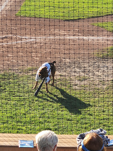 Stadium «C.O. Brown Stadium», reviews and photos, 1392 Capital Ave NE, Battle Creek, MI 49017, USA