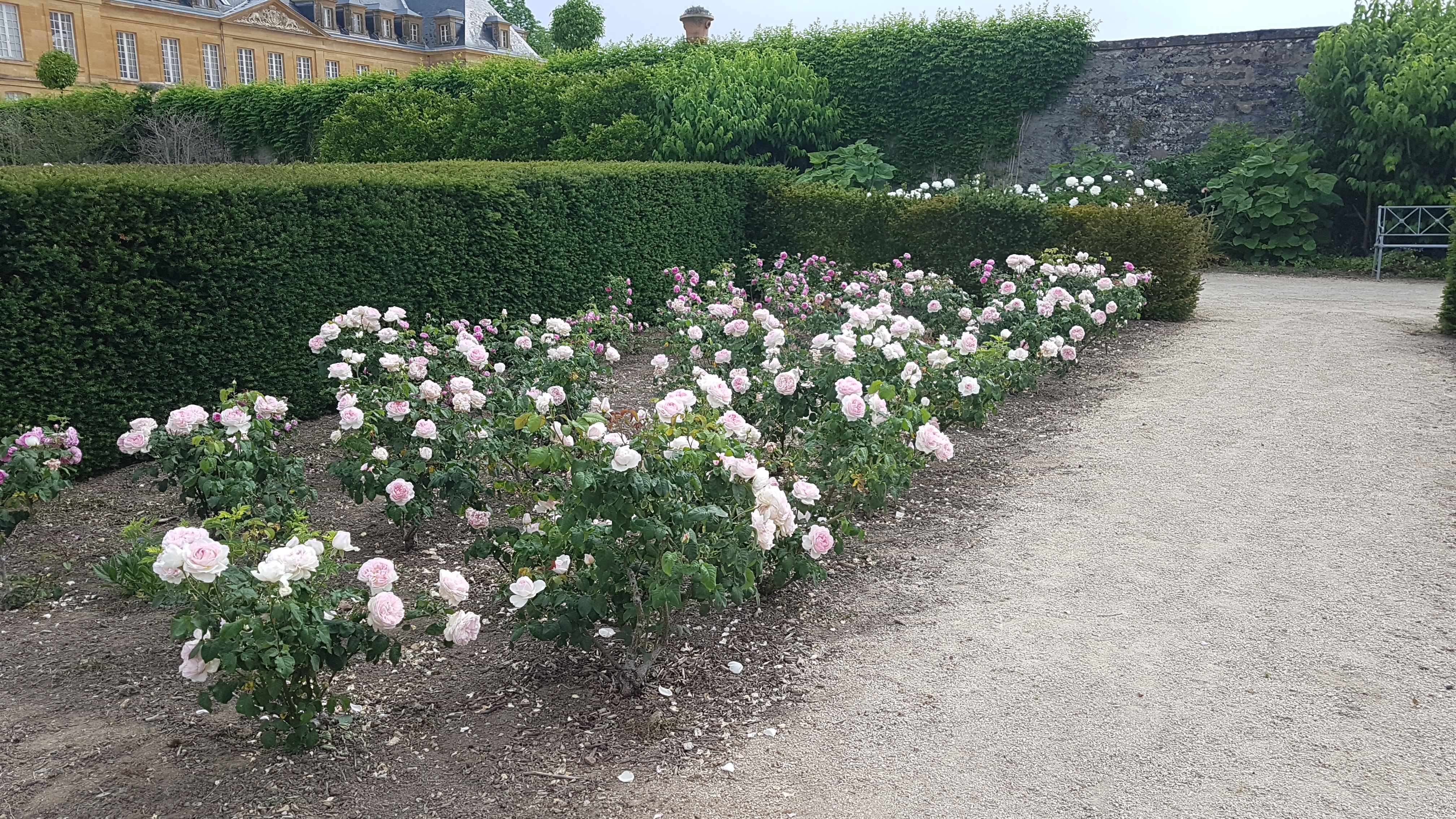 Photo n° 1 de l'avis de Dominique.r fait le 23/05/2022 à 16:43
