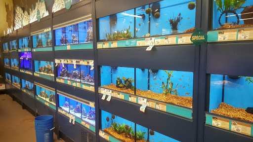 Pet Supply Store «Petco Animal Supplies», reviews and photos, 160 Sayebrook Pkwy, Myrtle Beach, SC 29588, USA