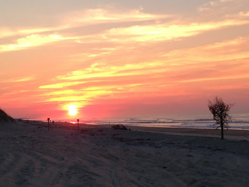 Coffee Shop «Dancing Turtle Coffee Shop», reviews and photos, 58079 NC-12, Hatteras, NC 27943, USA