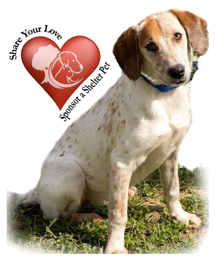 Frances Halbrook Hensley Animal Shelter