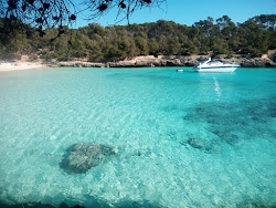 Zdjęcie Plaża Cala Mondrago z poziomem czystości wysoki