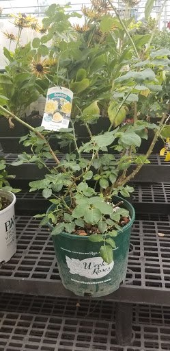 Hardware Store «Johnsons Home & Garden», reviews and photos, 26625 Maple Valley Black Diamond Rd SE, Maple Valley, WA 98038, USA