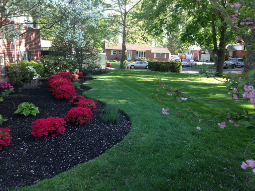 C & A Landscaping image 1