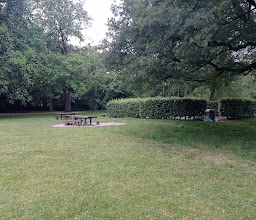 Grillen im Stadtpark photo