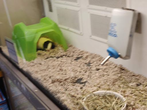 Pet Supply Store «Petco Animal Supplies», reviews and photos, 5006 NY-23 #1b, Oneonta, NY 13820, USA