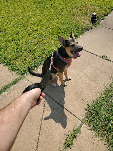 Pet Supply Store «Petco Animal Supplies», reviews and photos, 3055 N President George Bush Hwy, Garland, TX 75040, USA