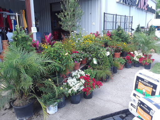 Hardware Store «Proctor Ace Hardware», reviews and photos, 5723 University Blvd W, Jacksonville, FL 32216, USA