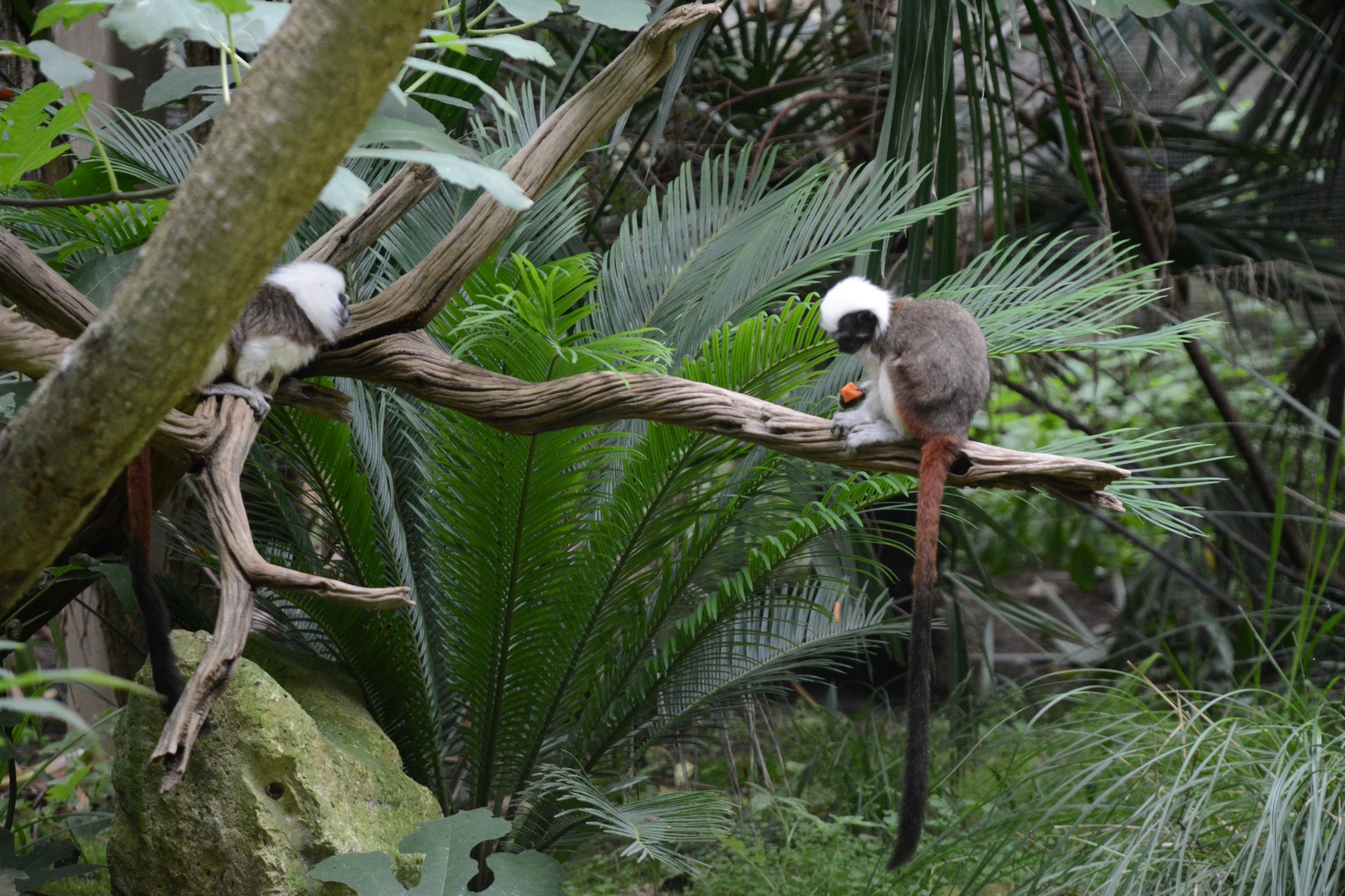 Photo n° 14 de l'avis de Laurent.E fait le 19/09/2023 à 20:20
