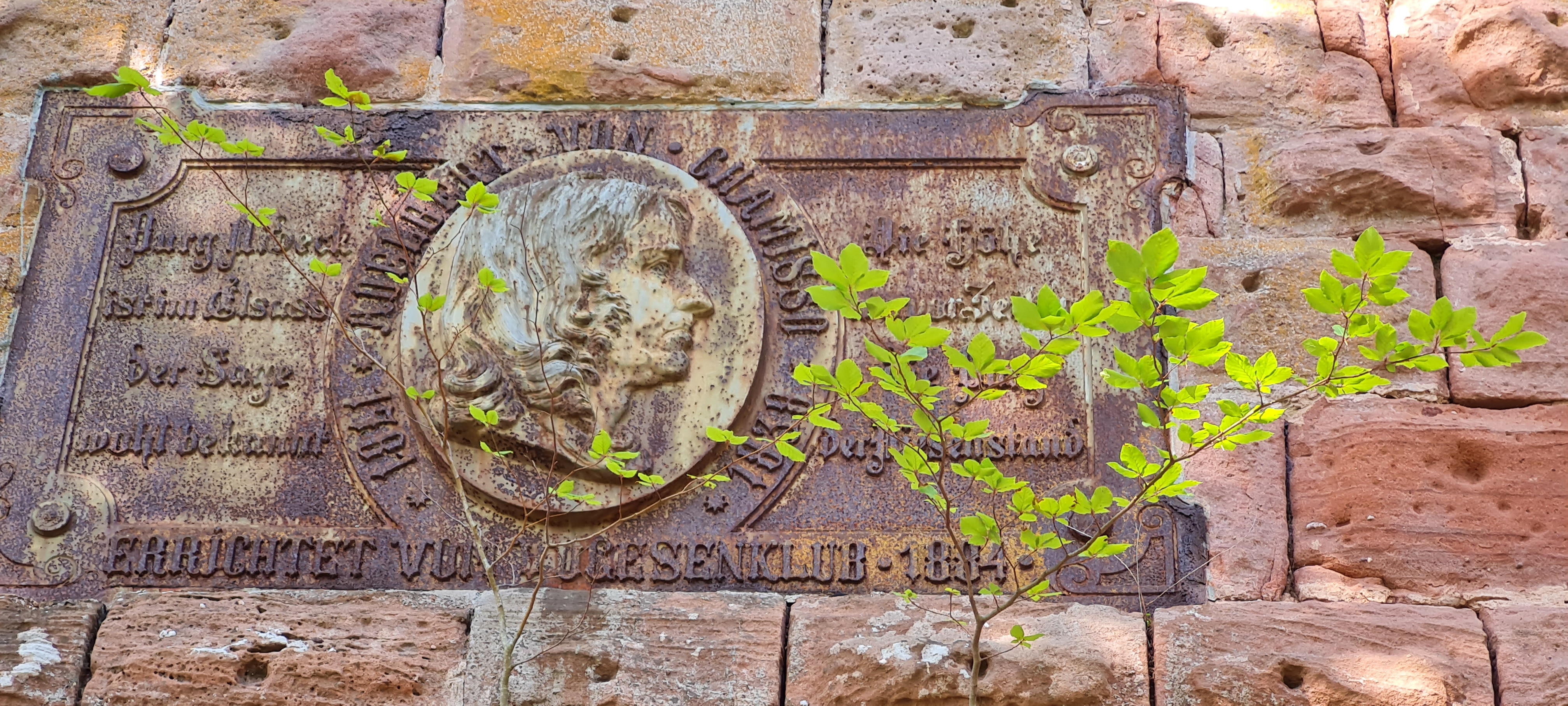 Photo n° 5 de l'avis de Franz.i fait le 12/08/2021 à 09:19