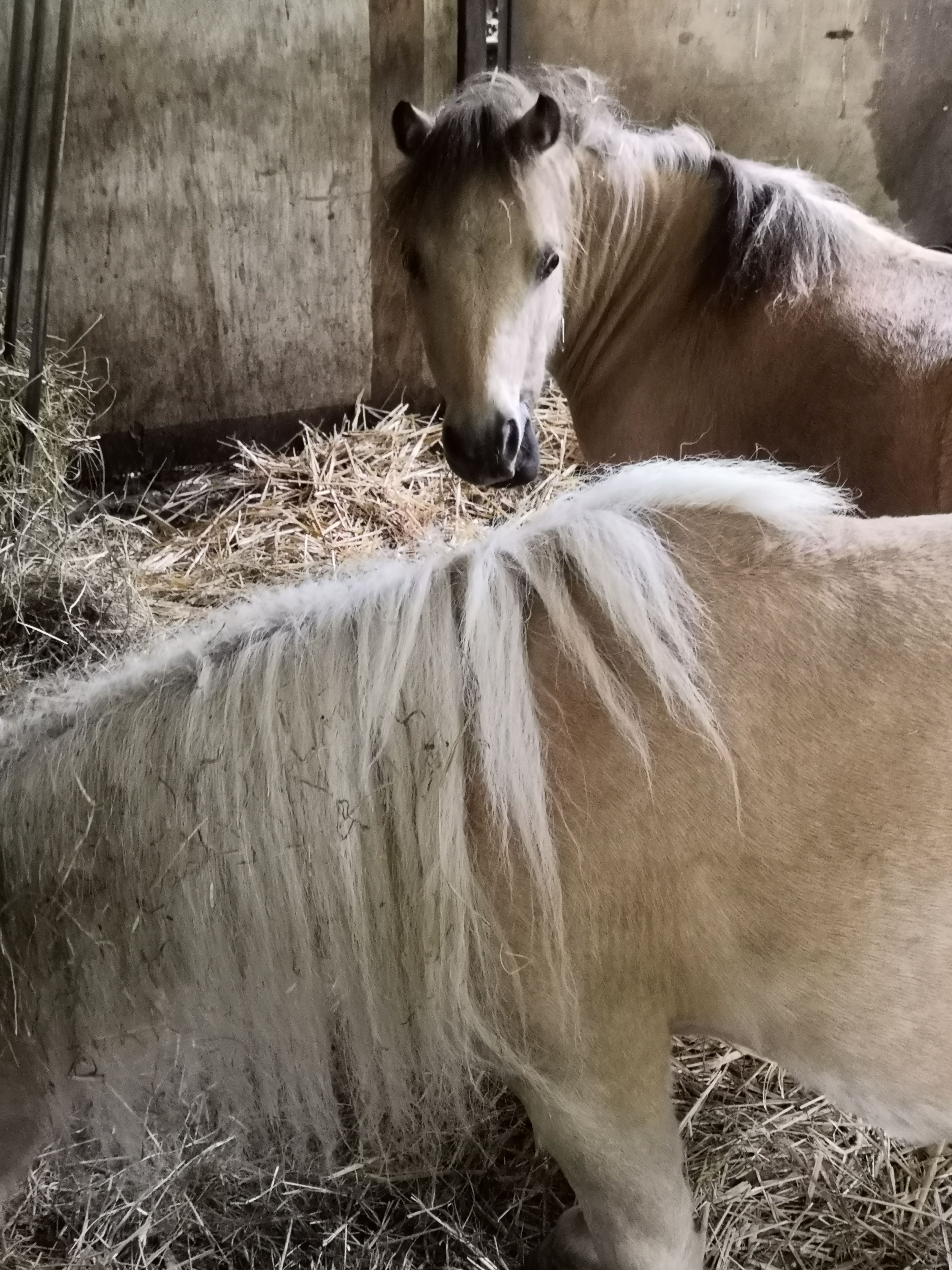 Photo n° 3 de l'avis de Alain.g fait le 31/07/2019 à 21:24