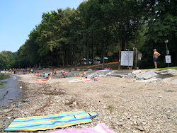 Prarolo Beach'in fotoğrafı ve güzel manzarası