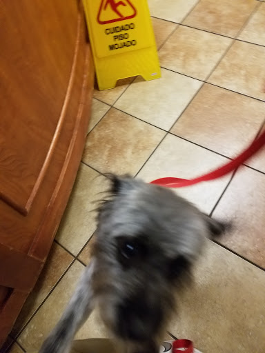 Pet Supply Store «PetSmart», reviews and photos, 12741 Towne Center Dr, Cerritos, CA 90703, USA