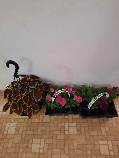 Home Improvement Store «The Home Depot», reviews and photos, 4100 N 124th St, Wauwatosa, WI 53222, USA