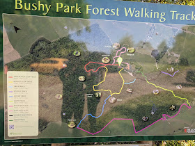 Bushy Park Sanctuary