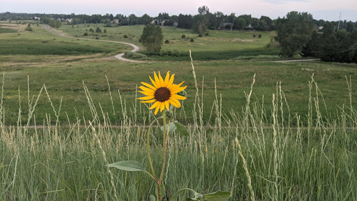 Wildlife Park «Willow Spring Open Space», reviews and photos, 7100 S Holly St, Centennial, CO 80112, USA