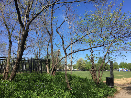 State Park «Bicentennial Capitol Mall State Park», reviews and photos, 600 James Robertson Pkwy, Nashville, TN 37243, USA