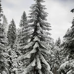 Photo n°16 de l'avis de Carmen.l fait le 05/12/2021 à 16:11 sur le  Chalet Marilleva 1400 à Marilleva 1400