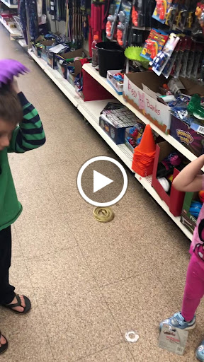 Dollar Store «Dollar Tree», reviews and photos, 1260 1st St, Gilroy, CA 95020, USA