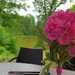 Photo n°1 de l'avis de S..a fait le 17/06/2019 à 15:06 sur le  Seecafe Frickenhausen à Mellrichstadt