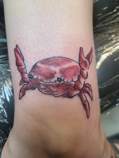 Find tummy tuck scar tattoo ideas for your next unique tattoo in Powell at AVALON COVE TATTOO