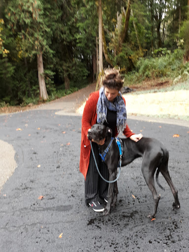 Golf Club «Meadowmeer Golf & Country Club», reviews and photos, 8530 Renny Ln NE, Bainbridge Island, WA 98110, USA