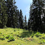 Photo n° 34 de l'avis de romain.o fait le 23/09/2017 à 20:33 pour Parc naturel régional du Haut-Jura à Lajoux