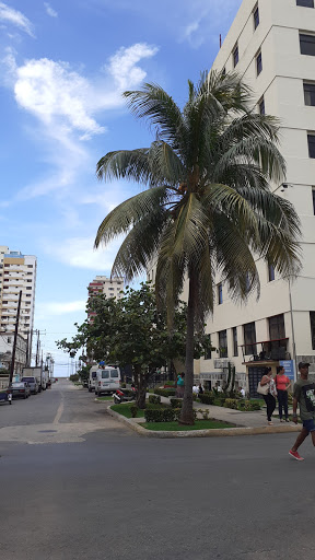 Clinicas privadas Habana