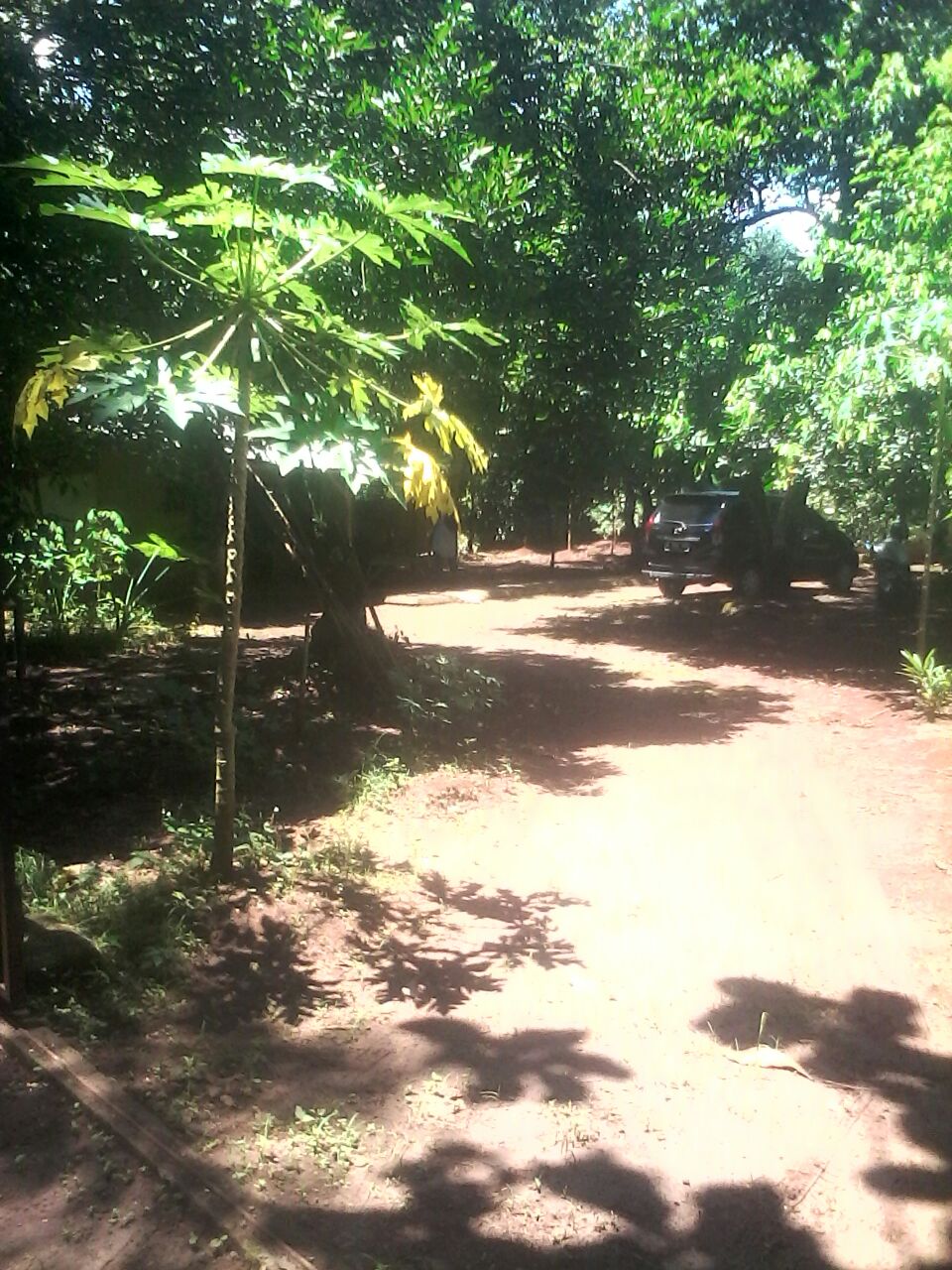 Kebon Halimah