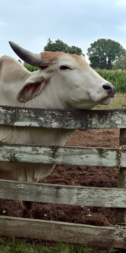 Zoo «Cricket Hollow Zoo», reviews and photos, 1512 210th St, Manchester, IA 52057, USA