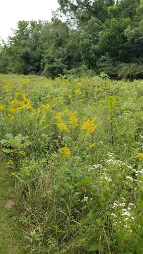 Nature Preserve «Hoover Forest Preserve», reviews and photos, 11285 W Fox Rd, Yorkville, IL 60560, USA