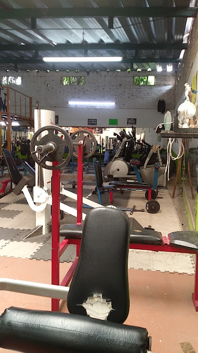 Montano Gym - Verduzco 213, Centro, 47900 Jamay, Jal., Mexico