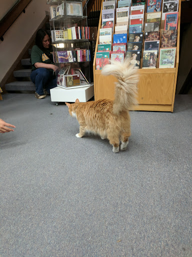 Book Store «The Book Bin», reviews and photos, 450 Court St NE, Salem, OR 97301, USA