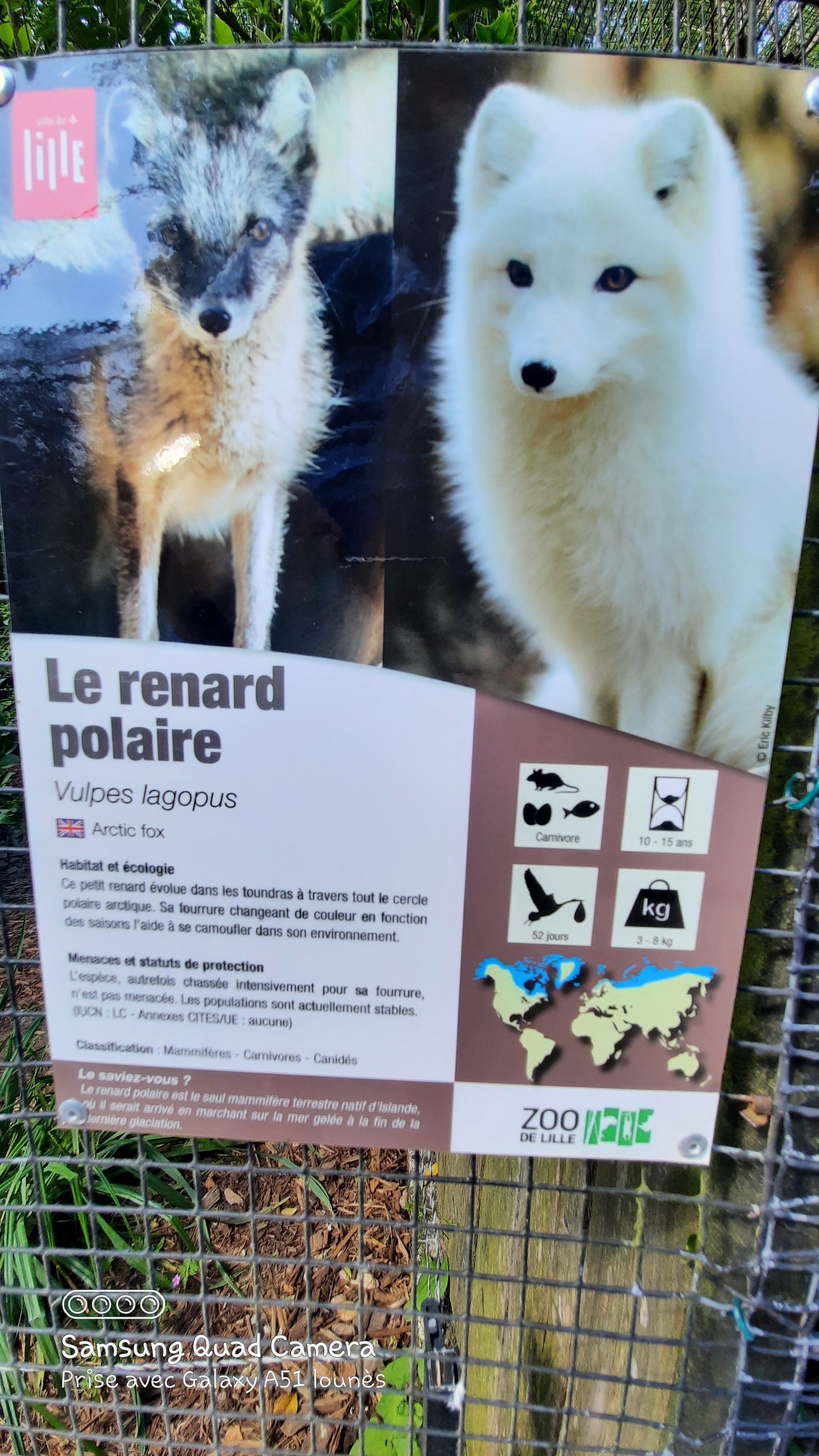 Photo n° 47 de l'avis de Lounes. fait le 02/06/2021 à 21:26