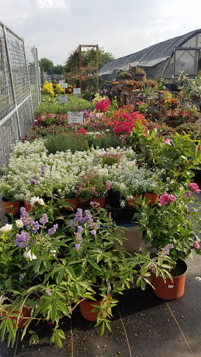 Health Food Store «Cox Farms Market - Duncanville», reviews and photos, 1026 S Main St, Duncanville, TX 75137, USA