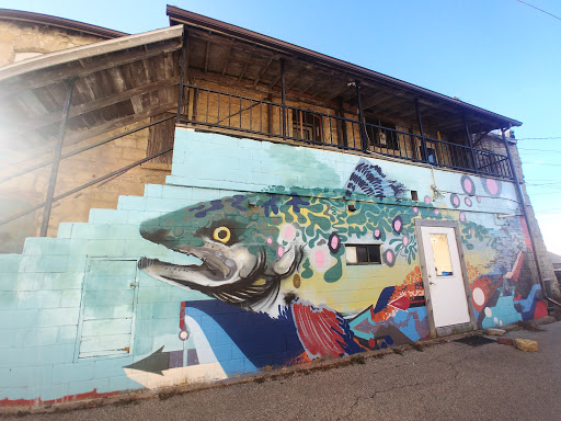 Coffee Shop «Driftless Cafe», reviews and photos, 118 W Court St, Viroqua, WI 54665, USA