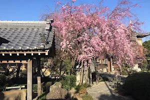 Ishiyakushi-ji image