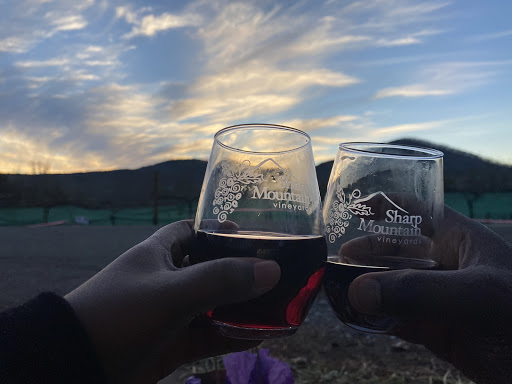 Winery «Sharp Mountain Vineyards», reviews and photos, 110 Rathgeb Trail, Jasper, GA 30143, USA