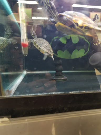 Pet Supply Store «Petco Animal Supplies», reviews and photos, 545 W Prien Lake Rd, Lake Charles, LA 70601, USA