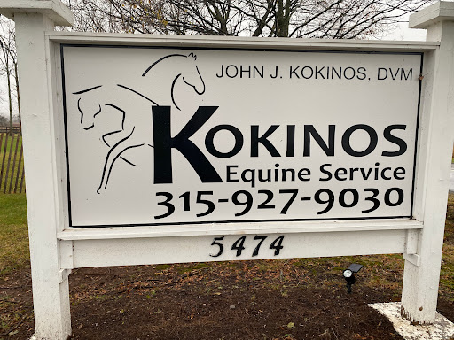 Kokinos Equine Services Inc: John J Kokinos DVM