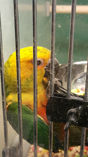 Pet Supply Store «Pet Supplies Plus», reviews and photos, 305 Sidney Baker St S #400, Kerrville, TX 78028, USA