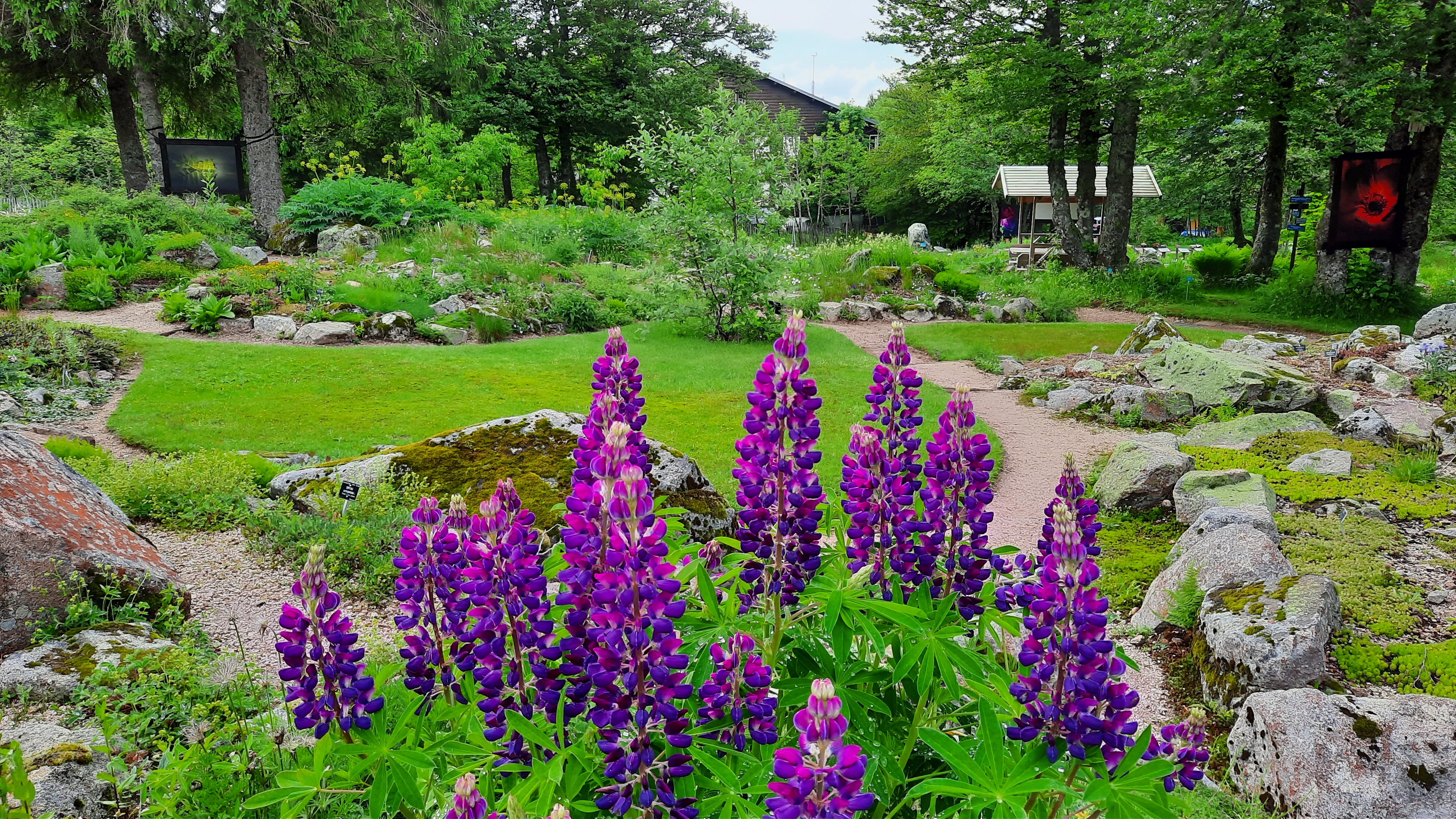 Photo n° 1 de l'avis de Marie-Cécile.A fait le 30/06/2021 à 07:17