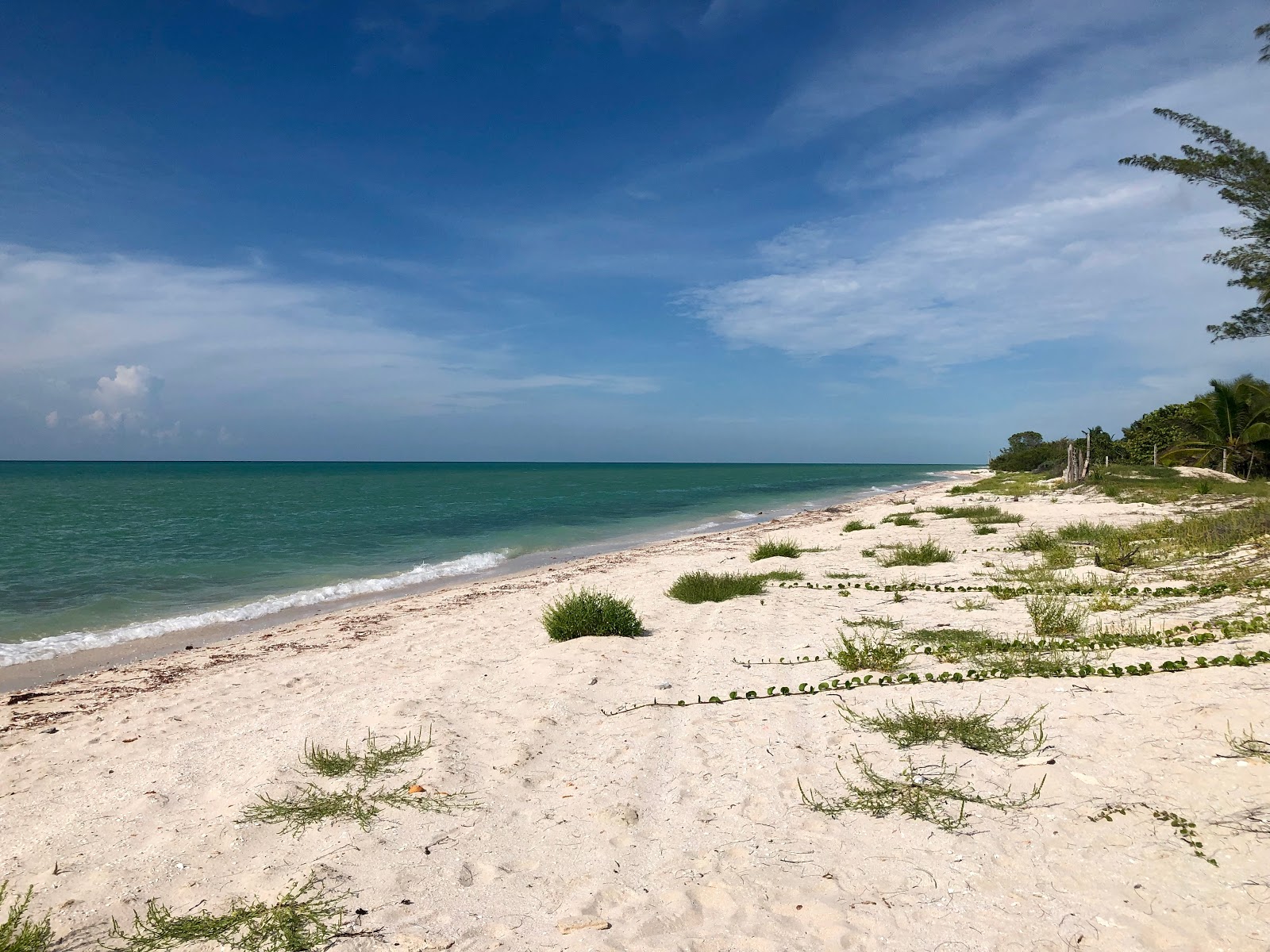 Foto de Faro El Palmar con arena beige superficie