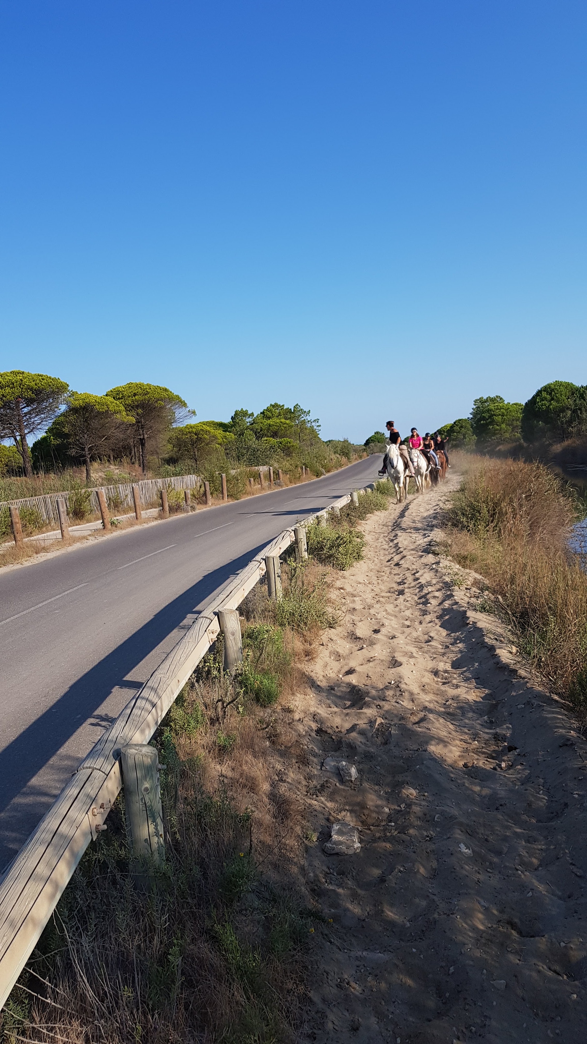 Photo n° 15 de l'avis de Franck. fait le 23/08/2018 à 12:53