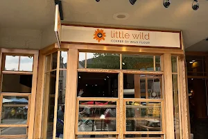 Little Wild: Coffee & Gelato image