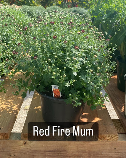 Landscaping Supply Store «Kirkwood Gardens», reviews and photos, 2701 Barrett Station Rd, Ballwin, MO 63021, USA