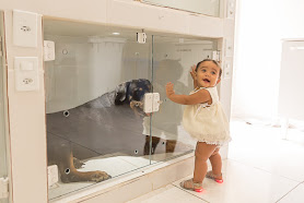 Pet in Foco Veterinária