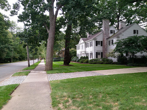 Picnic ground New Haven