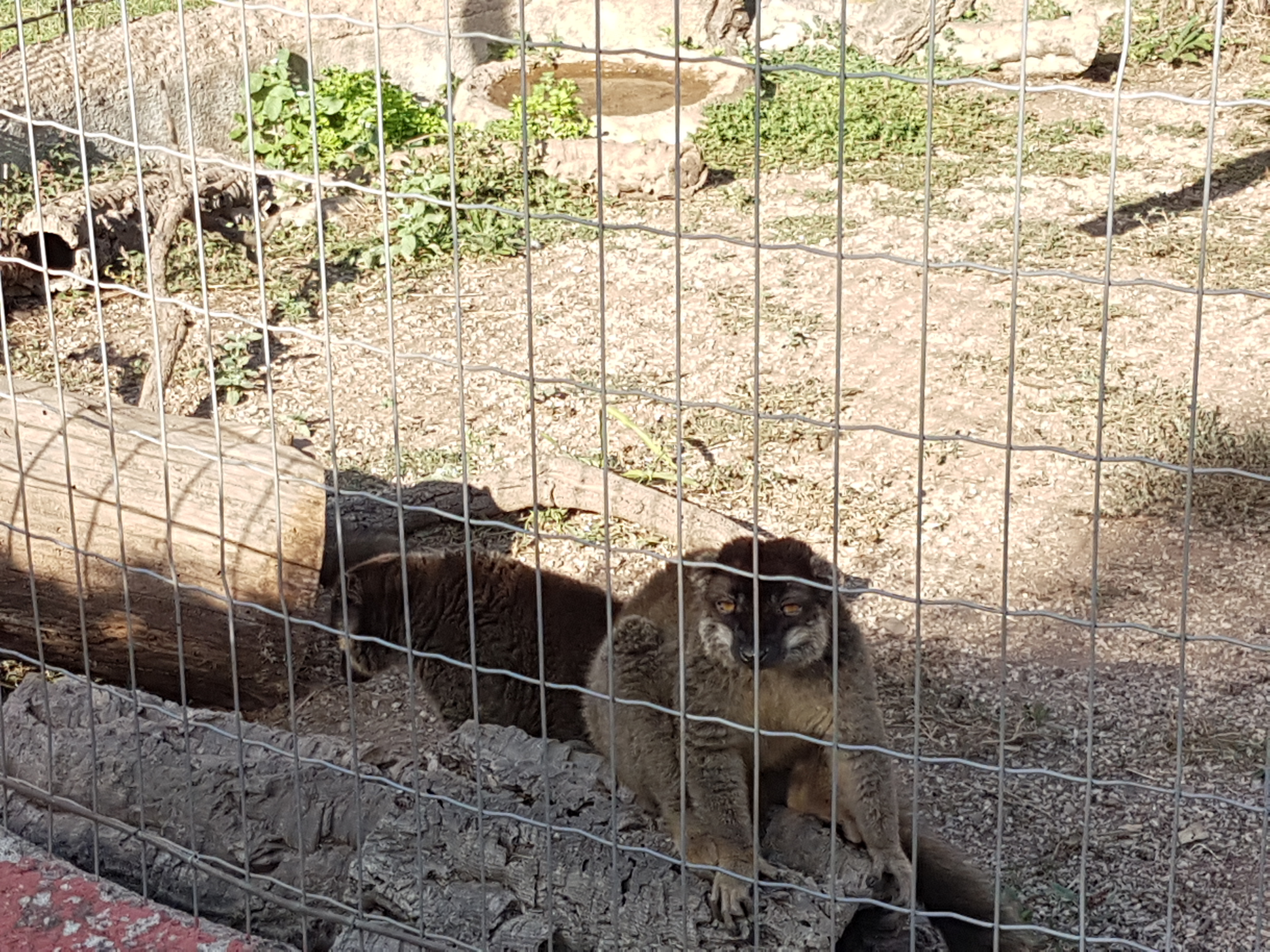 Photo n° 10 de l'avis de Armand.A fait le 09/09/2018 à 19:52